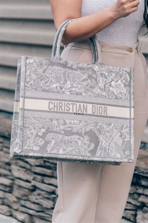 christian dior butterfly bag dupe|christian dior tote bag copy.